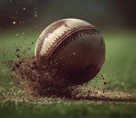 Win every day!