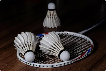 Badminton in Fantasy Sports